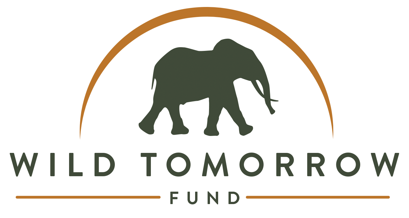 Wild tomorrow fund logo